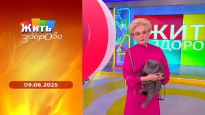 Жить здорово! Выпуск от 09.06.2025
