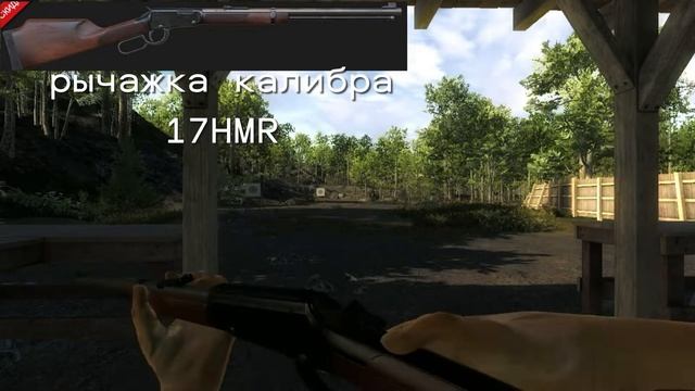 обзор всего моего оружия The Hunter