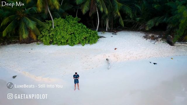 Летний музыкальный MIX популярных песен 2025 - Summer Mix клубная музыка смотреть онлайн