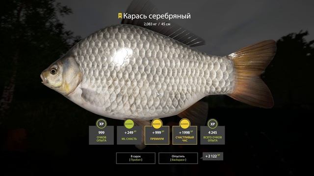 Русская Рыбалка 4🎣 Трофейный Карась на оз.Медное.