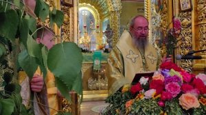День Святой Троицы. 8 июня 2025г.