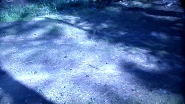 Наконец-то остановились/лагерь на Валдае 2024 год