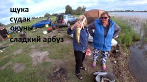 Рыбалка на спиннинг. Судак и щука и сладкий арбуз.