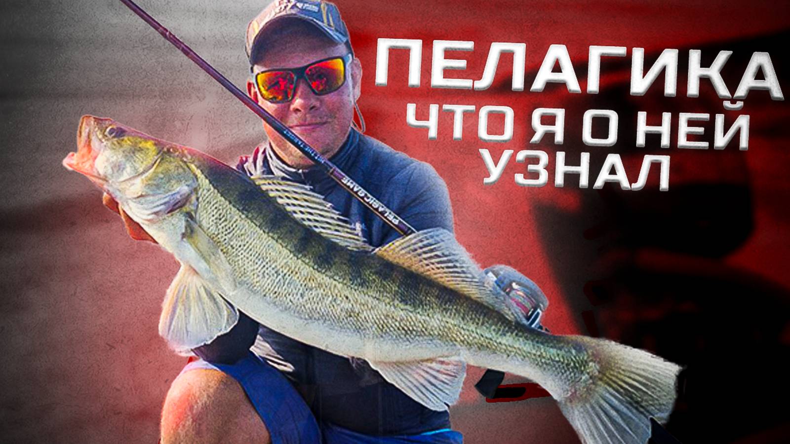 ПЕЛАГИКА. Учусь ловить. С чем я столкнулся при ловле пелагического судака. смотреть онлайн