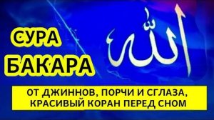КОРАН, СУРА БАКАРА, ОТ ДЖИНА, ПОРЧИ И Сглаза, КРАСИВЫЙ КОРАН ПЕРЕД СНОМ