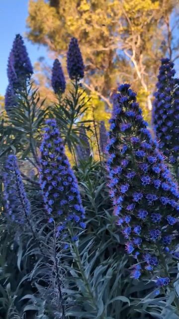 Мир полон противоречий