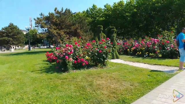 25.06.08 2 смотреть онлайн