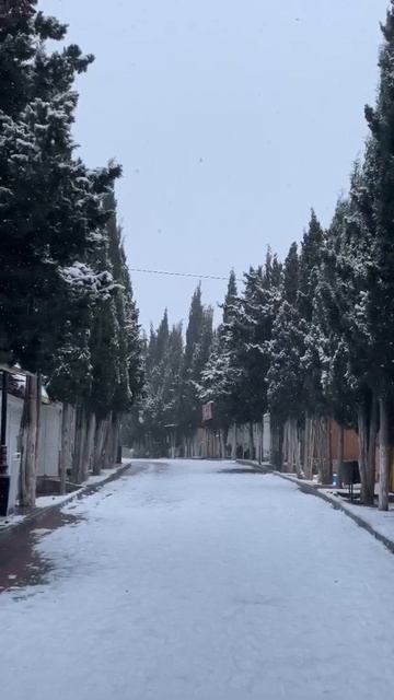 Крым погода сегодня смотреть онлайн