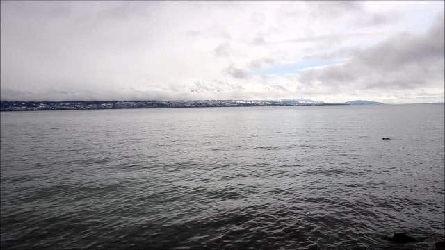 Швейцария. Лозанна. Женевское озеро. смотреть онлайн