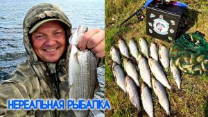 НЕРЕАЛЬНАЯ РЫБАЛКА ПЕЛЯДЬ НА УДОЧКУ