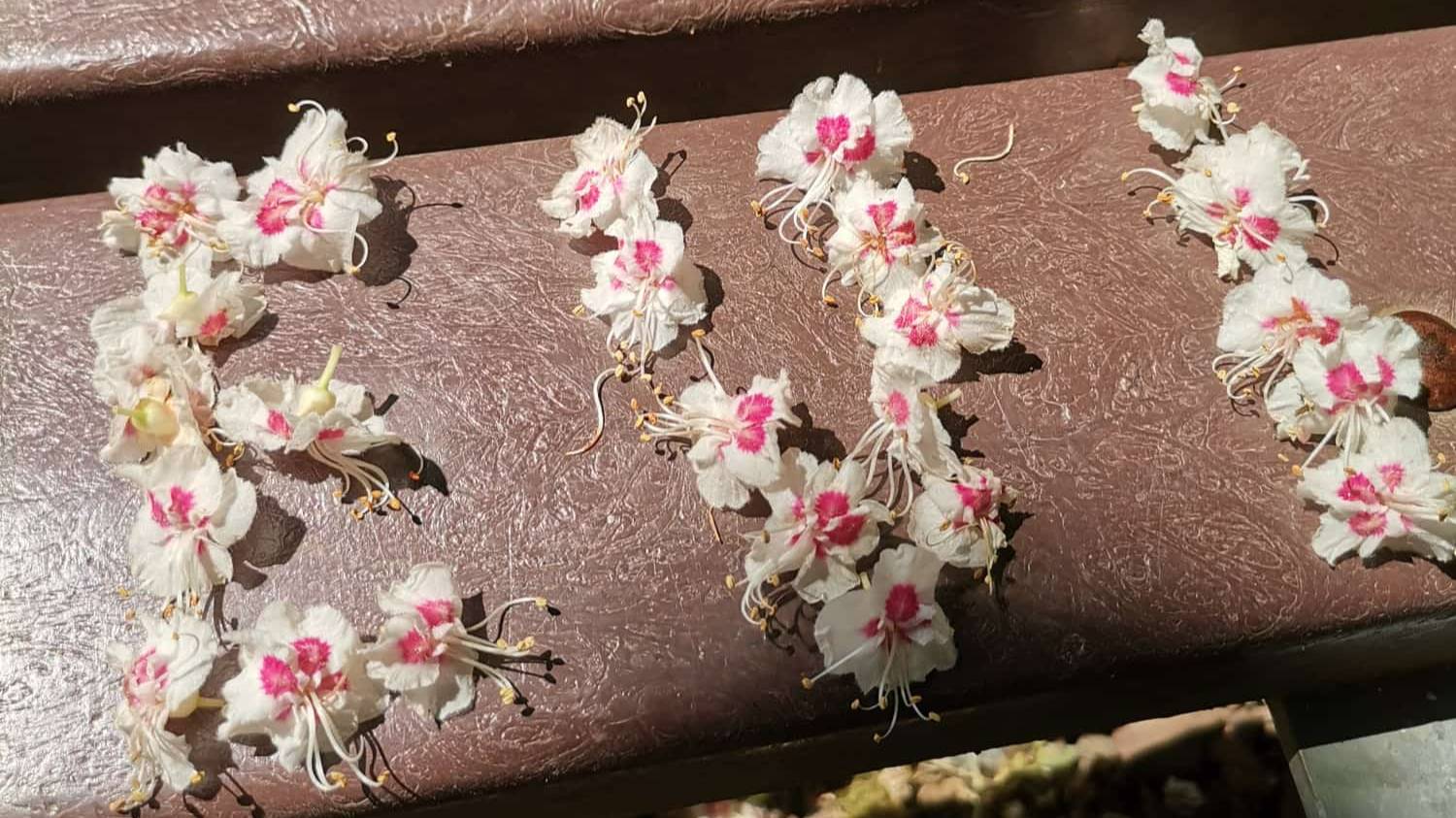 Эви, сборка апрель-май 2025