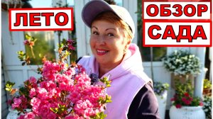 Обзор сада на начало лета. Старт дан, будем ждать красоту