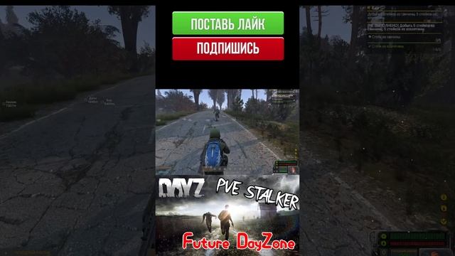 DAYZ // [PVE STALKER] Future DayZone // НОВЫЙ СЕРВЕР НА СТРИМЕ // #shorts