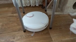 Xiaomi Robot Vacuum S12 EU подключение и настройка в MiHome, реальные тесты робота пылесоса. ЧАСТЬ 2