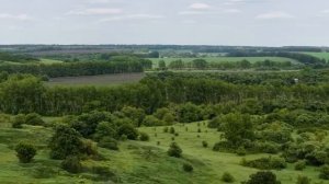 Ничего себе, какие кабаны клюют в этом ручье рыбалка на спиннинг 2025.