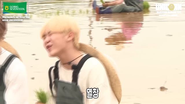 РУССКАЯ ОЗВУЧКА GOING SEVENTEEN ВЫПУСК 14 #seventeen #goingseventeen #seventeen