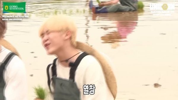 РУССКАЯ ОЗВУЧКА GOING SEVENTEEN ВЫПУСК 14 #seventeen #goingseventeen #seventeen