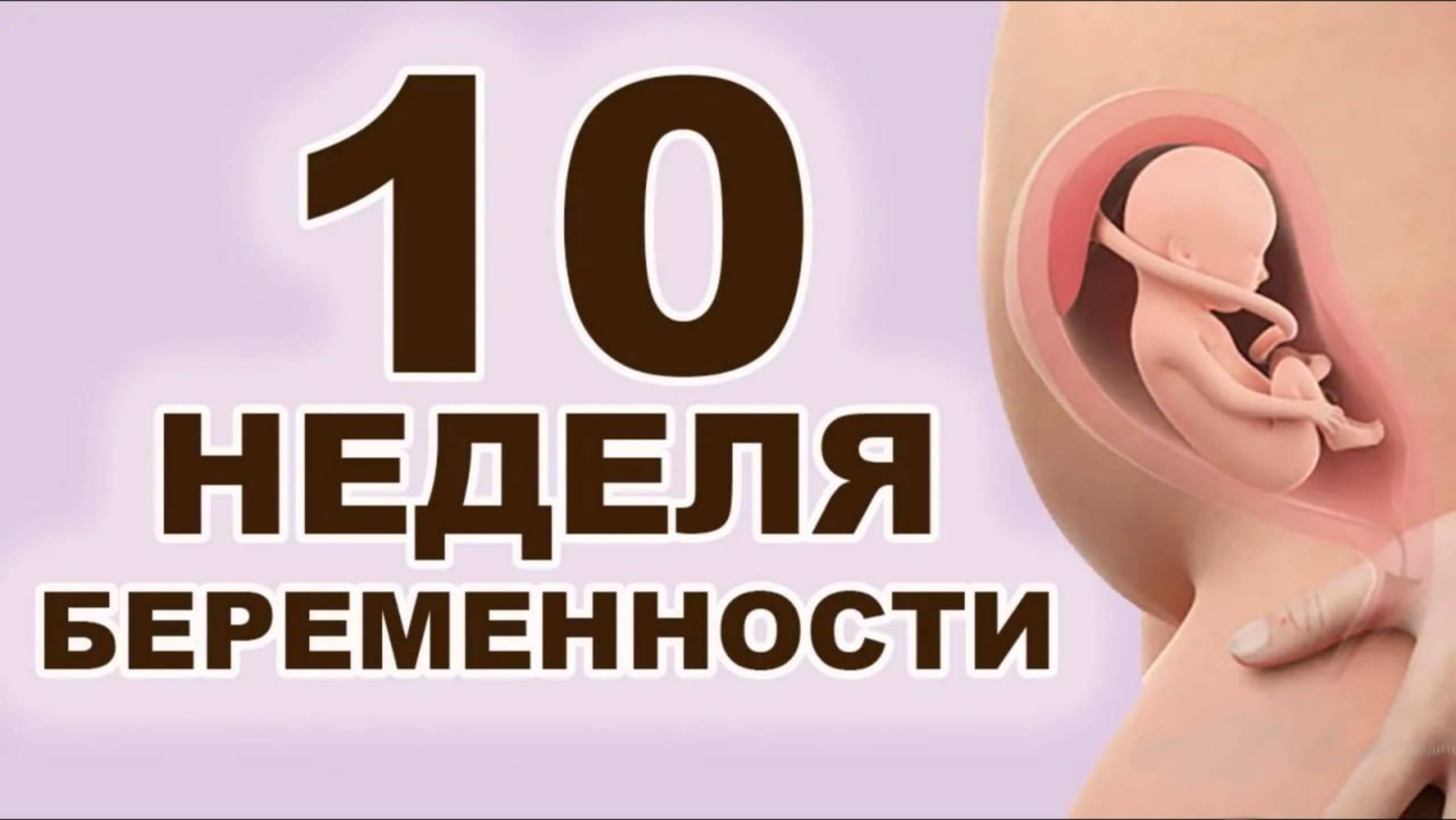 Что происходит с мамой и ребёнком на 10 неделе беременности? 3 месяц беременности. Первый триместр смотреть онлайн
