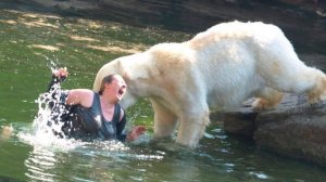 СМЕШНЫЕ ВИДЕОПРИКОЛЫ |Смешные видео с животными и людьми| Я РЖАЛ ДО СЛЕЗ|ПОДБОРКА ПРИКОЛОВ