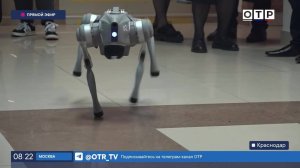 По краснодарскому вузу бегает робособака