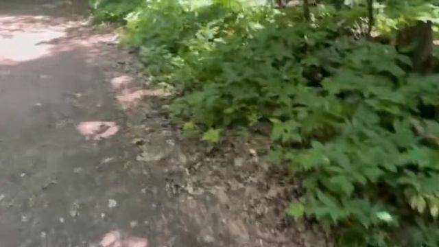 Колея от трактора — шрам на щеке земли русской смотреть онлайн