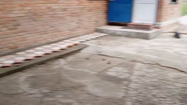 У нас не получилось как у всех.Но тоже интересно.Карта смотреть онлайн