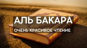 АЛЬ БАКАРА - ЗАЩИТА ВАШЕГО ДОМА ОТ ВСЕГО ПЛОХОГО. СЛУШАЙТЕ КАЖДЫЙ ДЕНЬ. AL BAQARAH