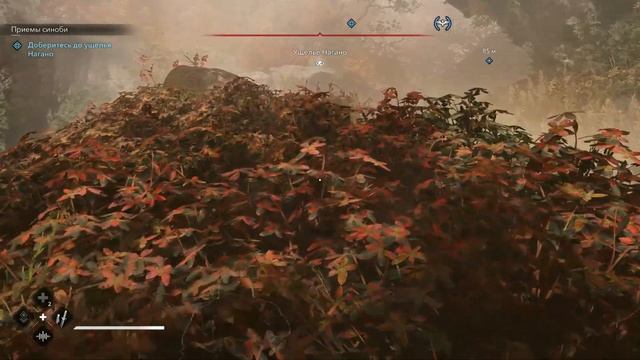 Assassin's Creed Shadows. #5. Храм Макиноодэра. Приемы синоба (Кудз? смотреть онлайн