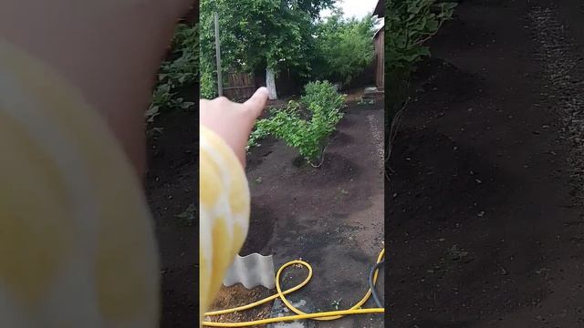 ГУЛЯЕМ С МИЛЕНОЙ/ ЗАВТРА У МЕНЯ ДЕНЬ РОЖДЕНИЯ? смотреть онлайн