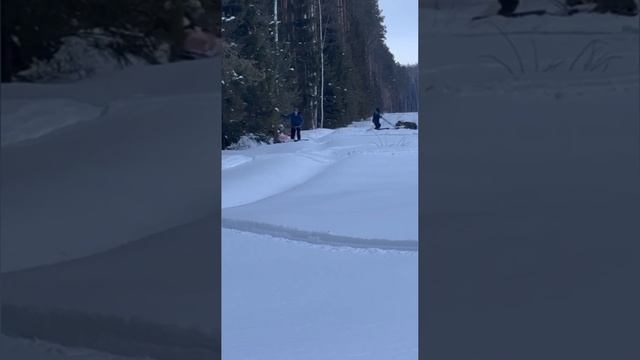 Разве это возможно...?) #природа #зима #лес #отдых #снег #м