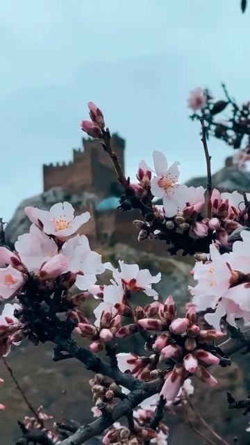 Генуэзская Крепость в Судаке смотреть онлайн