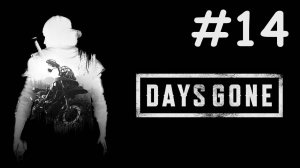 Ушедшие Дни | Days Gone | часть 14