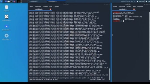 Как обновить kali linux