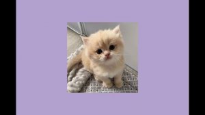 🎀песни для танцев🎀песни для уборки🎀