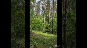 "Мир на грани войны, катастроф. Земля раскачается" СЛОВО ИИСУСА ХРИСТА 04.06.25г.