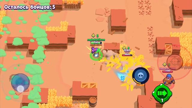 Бравл старс песни патамушка 3000кубков прошел на бо был? смотреть онлайн