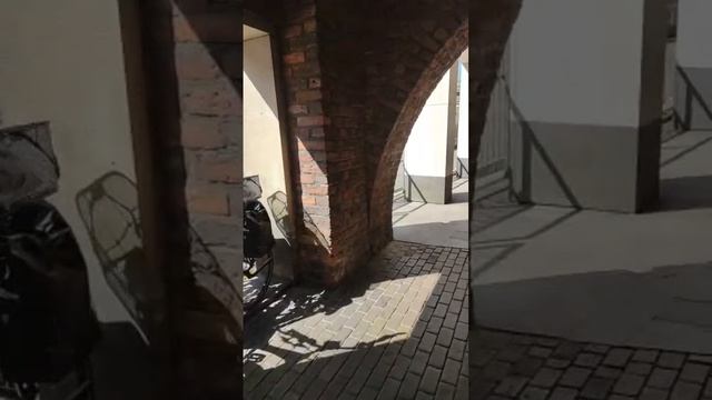 Владимир 55 в прямом эфире! смотреть онлайн