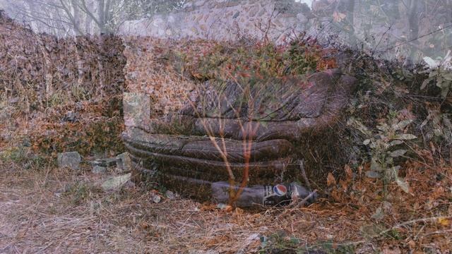 🚯-Мусорное- Точка бифуркации. Polaroid PDC3070, Helios-44M, Huawei P30 Pr