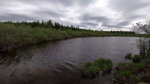 Рыбалка. Зубастые Голодные Монстры..) 17.06.2020