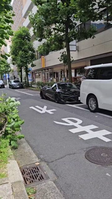 Мак-Ларен собственной персоной.... смотреть онлайн