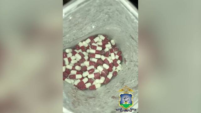 В Адыгее задержан мужчина, подозреваемый в покушении на сбыт психотропных веществ смотреть онлайн