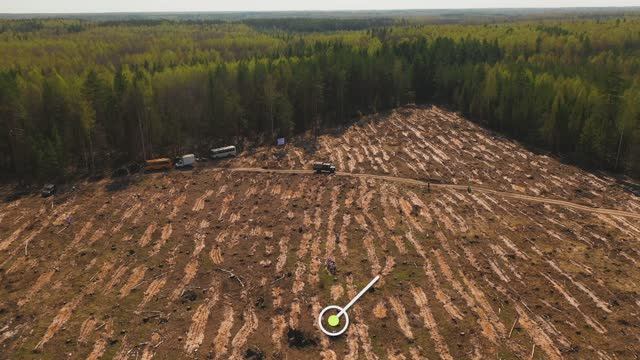 Посадка Леса