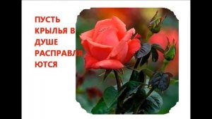 САМОЙ ПРЕКРАСНОЙ, КРАСИВЫЕ РОЗЫ!