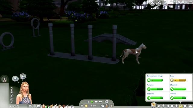 Главная собачница раена в Sims 4