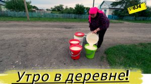 КАК ЖИВЁТ ДЕРЕВНЯ В СИБИРИ. Как победить муравьёв. Омская деревня.