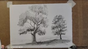 Зарисовки деревьев карандашом / Уроки рисования