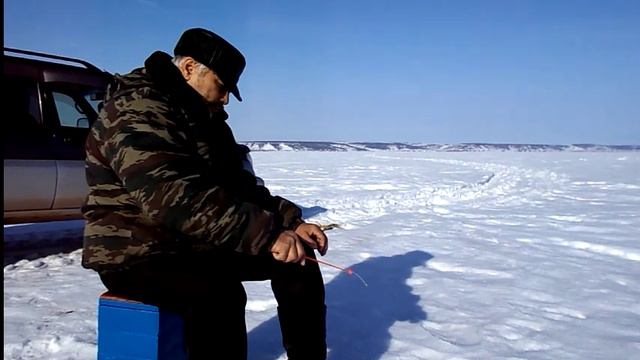 Рыбалка, Сибирь, Ангара, конец марта 2016г. смотреть онлайн