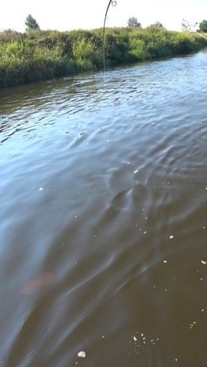 БОЛЬШАЯ ЩУКА НА БОЛЬШУЮ ПРИМАНКУ. Рыбалка на спиннинг