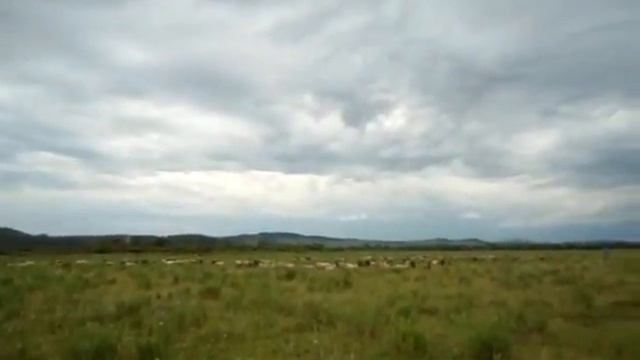 Рыбаки ловили рыбу, а поймали...