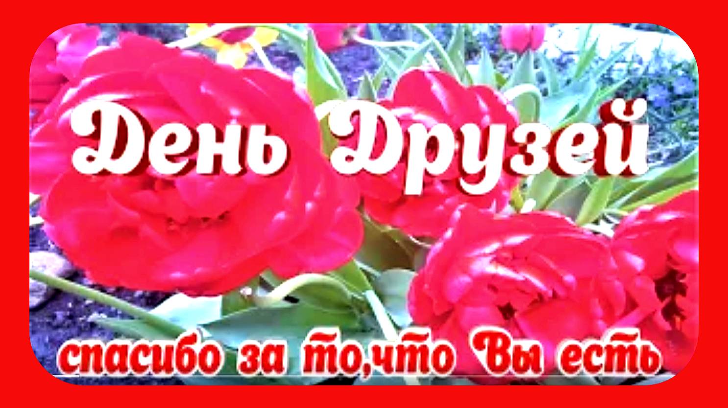 День Друзей Музыкальная открытка Спасибо Вам смотреть онлайн